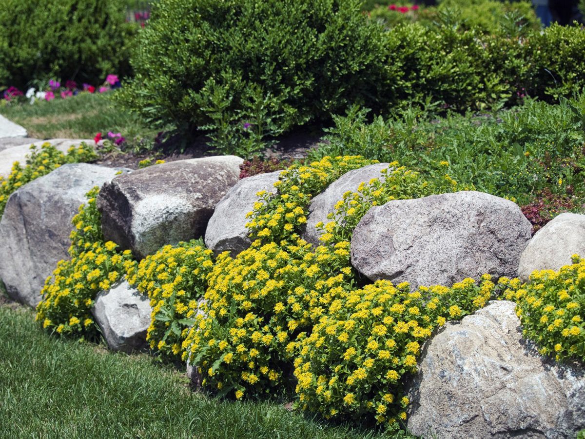 Landscape with boulders for edging