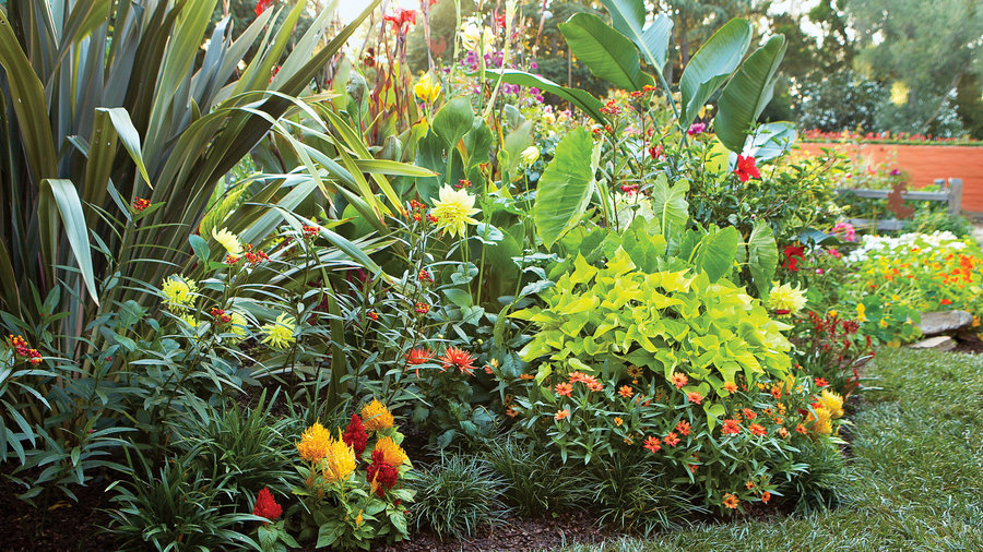 A variety of plant shapes for border strcuture