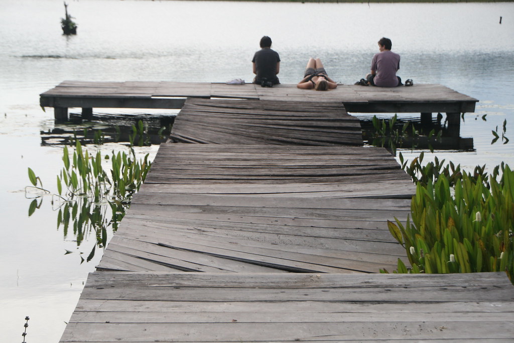 Deck boardwalk that leads to the lake