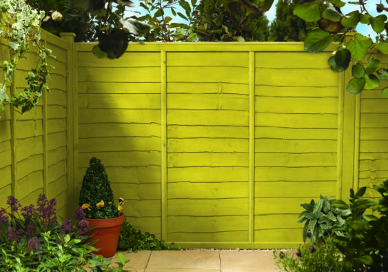 Sunny Lime coloured garden fence