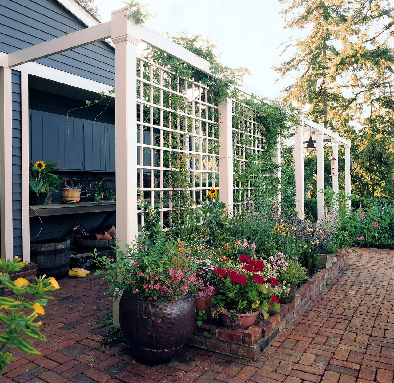 Workspace trellis screen for privacy