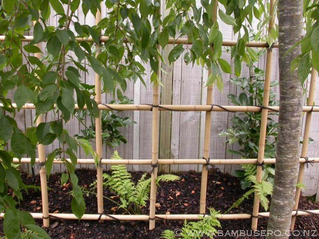 DIY garden trellis made from bamboo