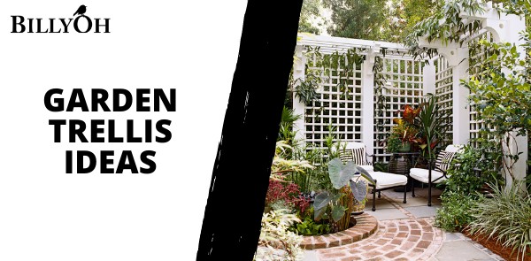 Garden Trellis Ideas For Added Charm and Functionality
