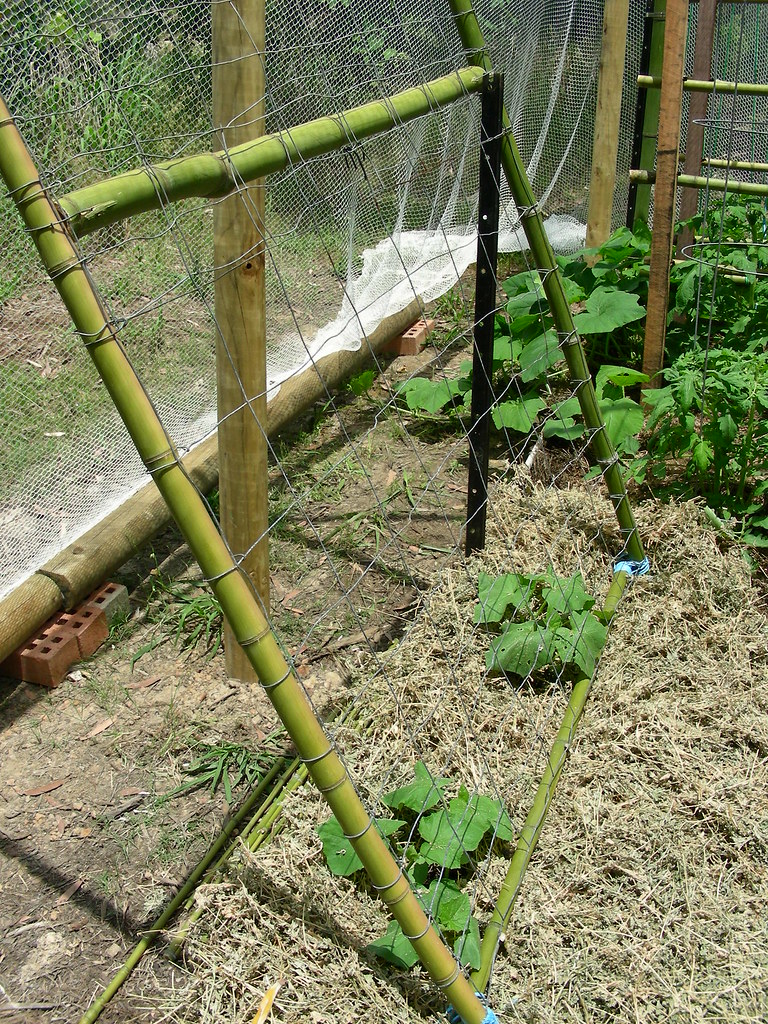 Bamboo and wire trellis