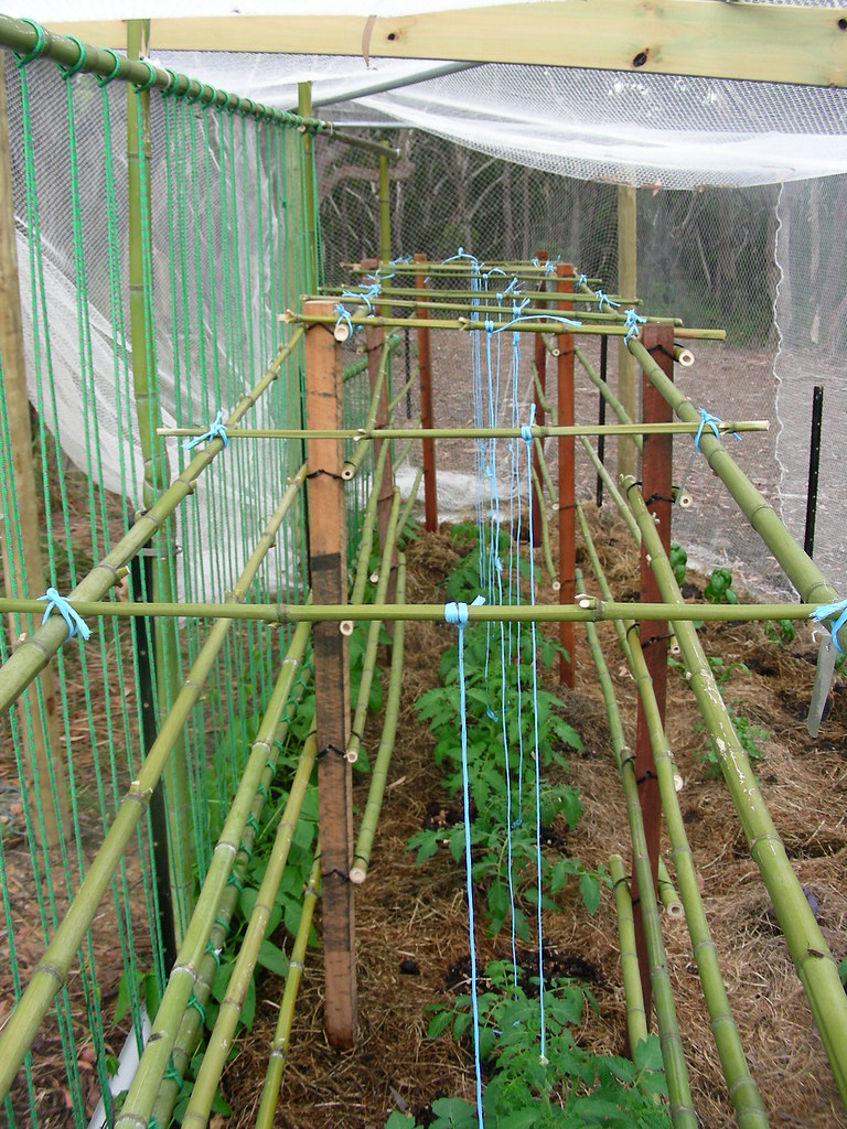 Bamboo-made trellis
