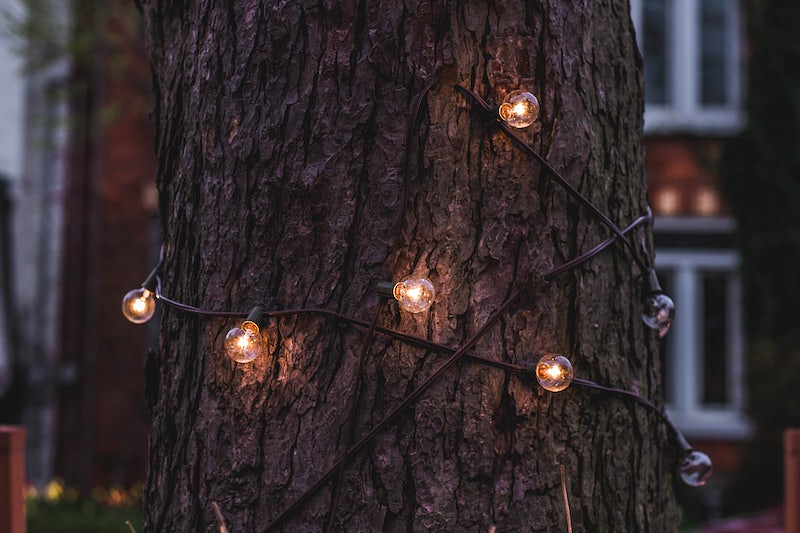 Globe lights on tree