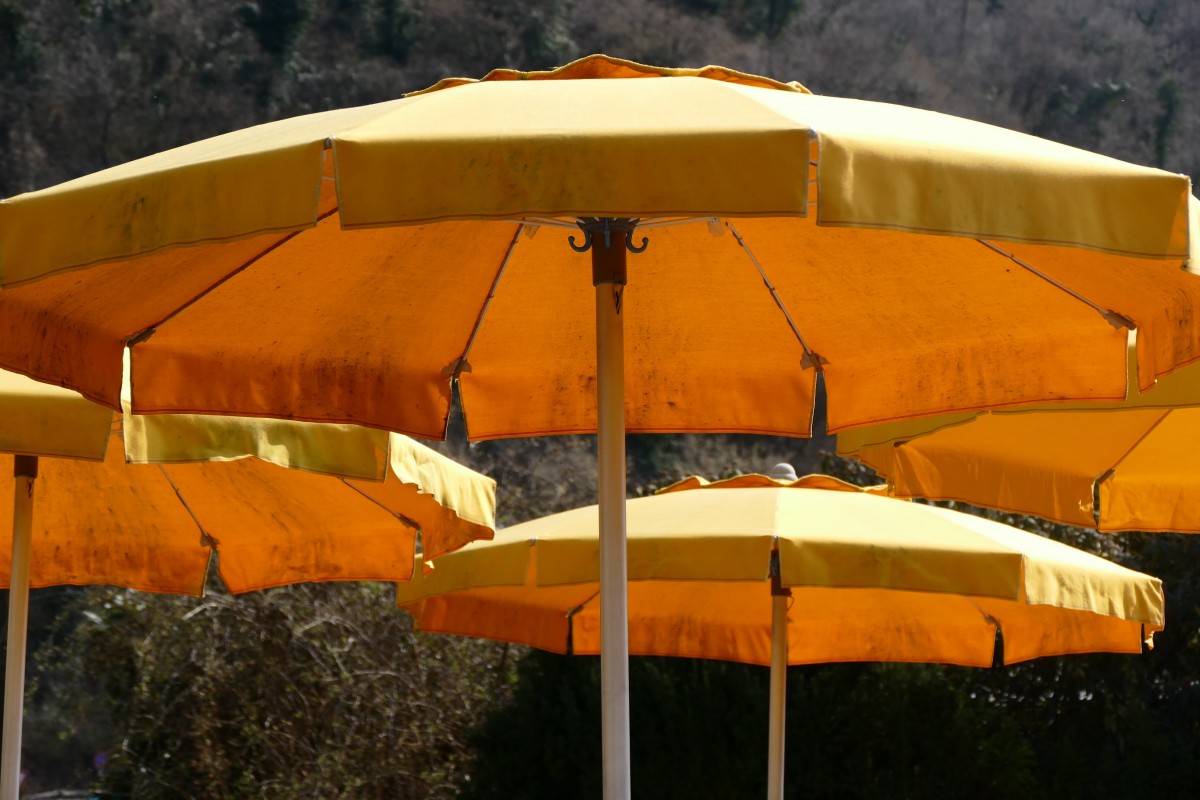 Yellow parasols