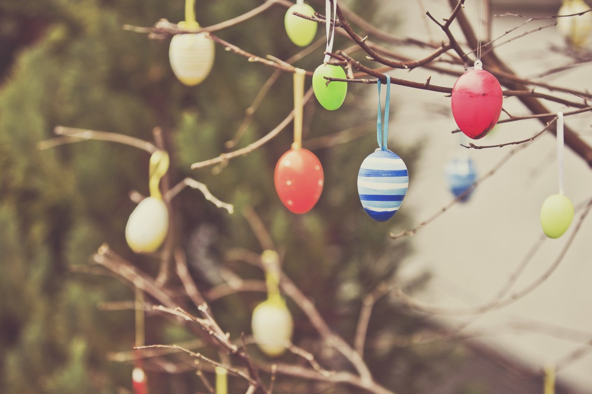 Colourful egg toys on tree branches