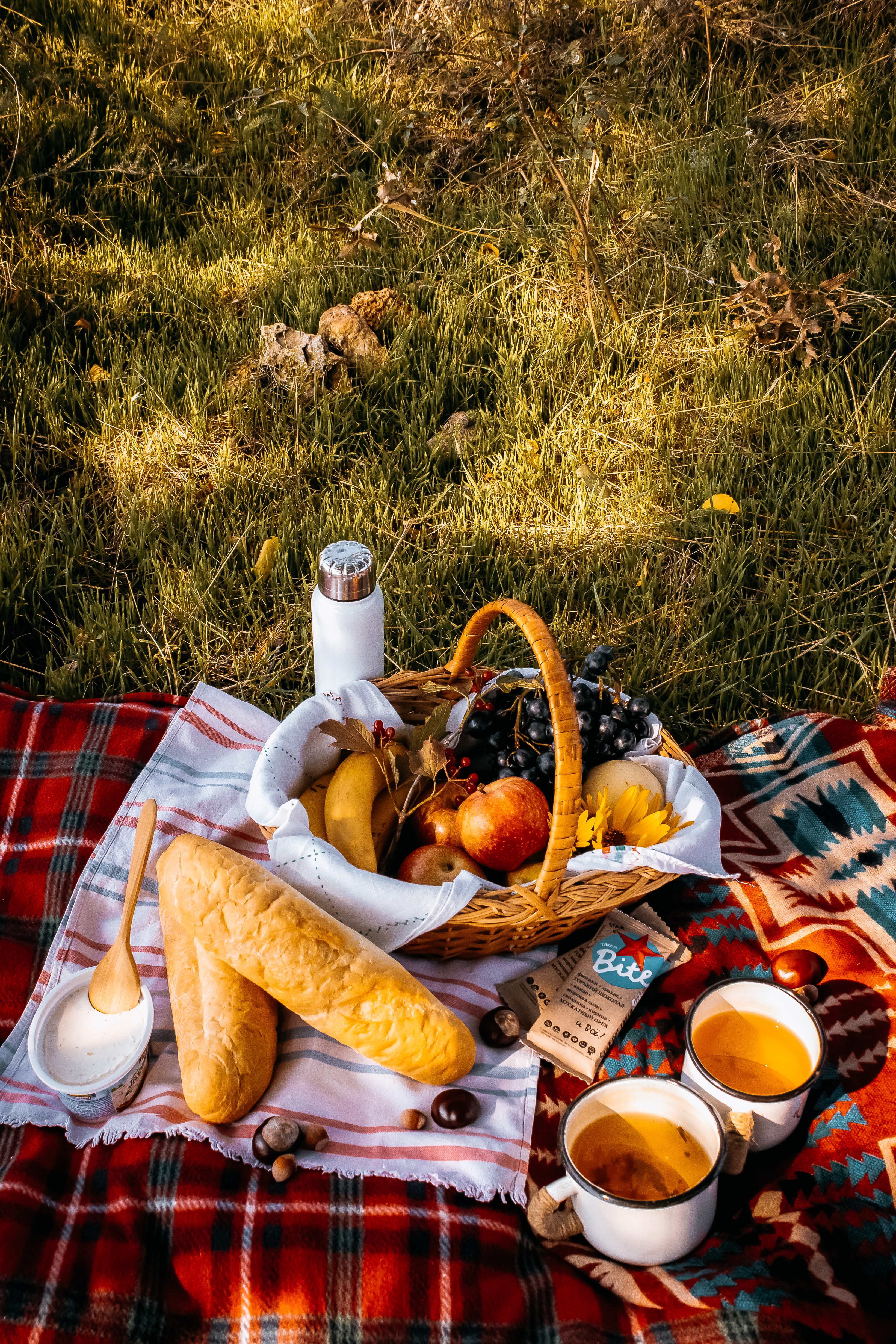 Red Gingham picnic setup with fruit basket, two Baguettes, and cider drinks