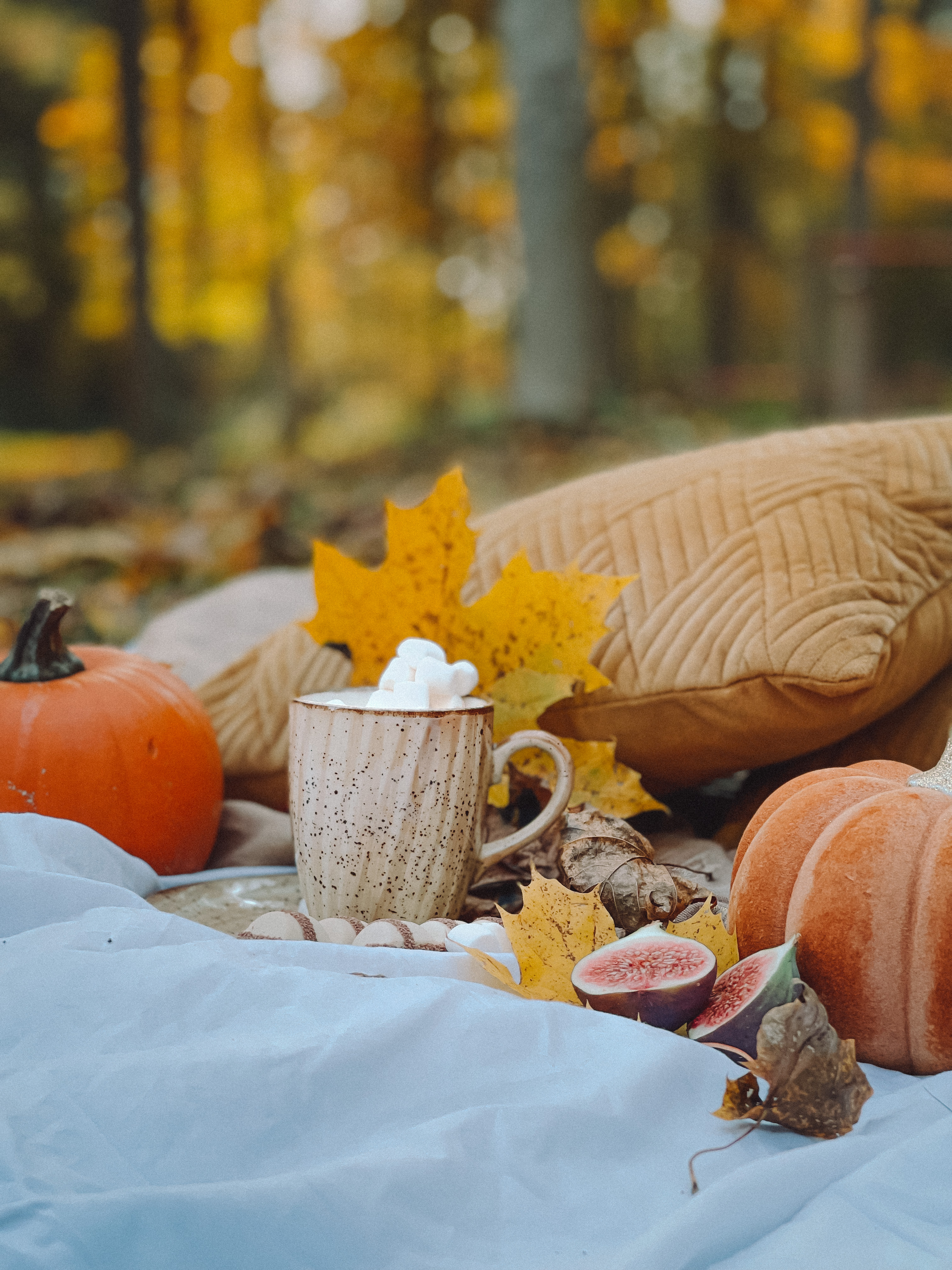 Mug with marshmallows surrounded by pumpkins leaves and pillows in forest