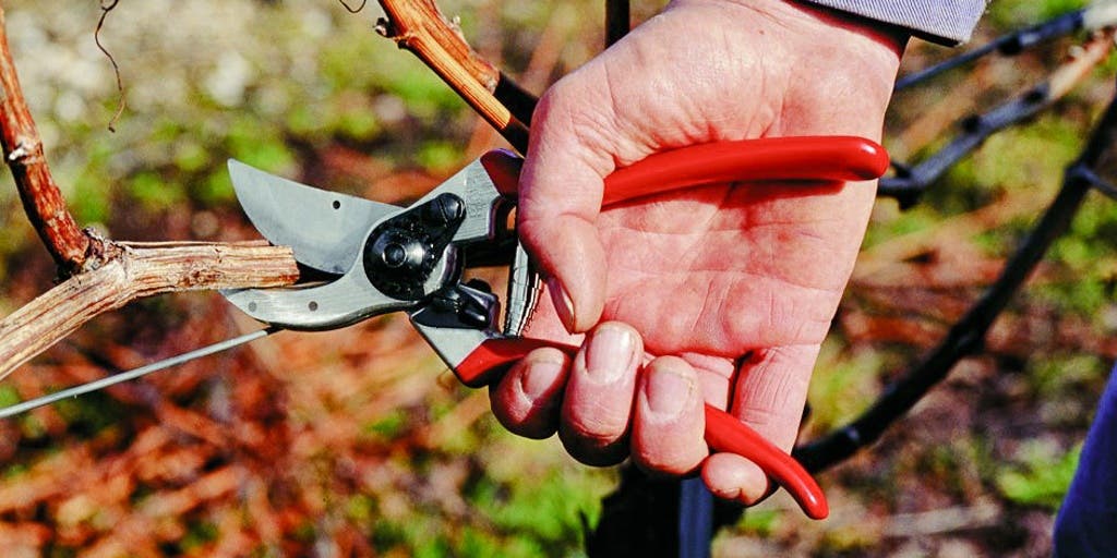 Hand pruners gardening tool