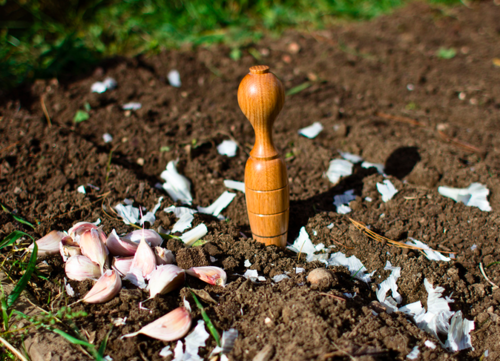 Dibbers gardening tool
