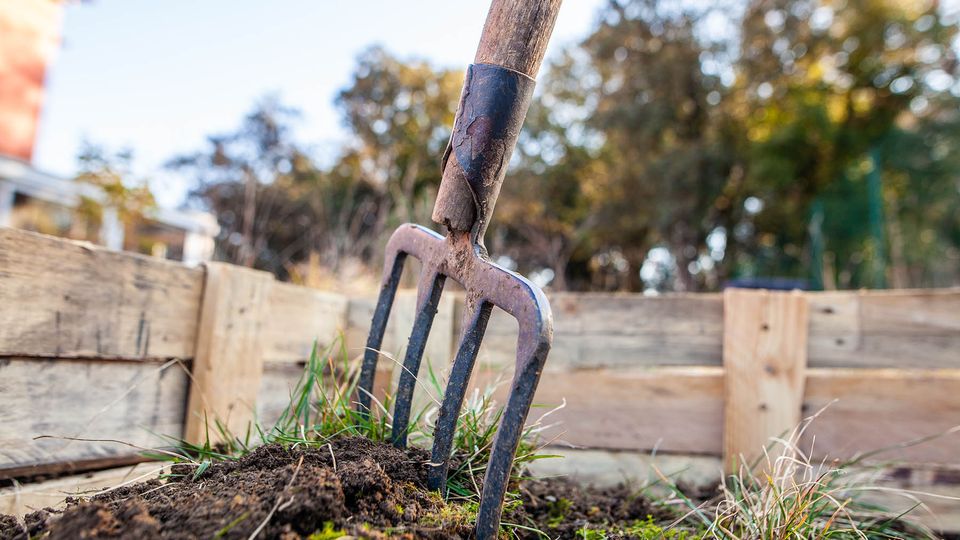 Forks gardening tool