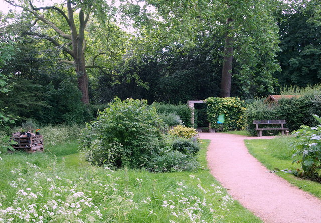 A community wildlife garden with a bug hotel positioned on the right side under the tree and a bench on the left side