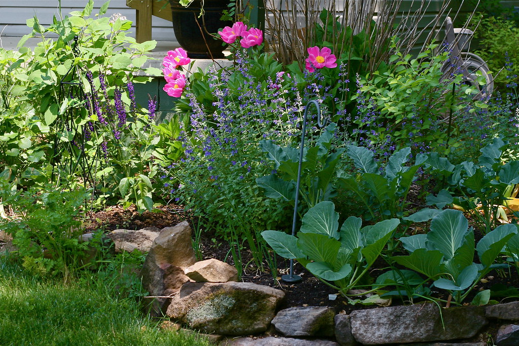 Front flowerbeds with edible plants
