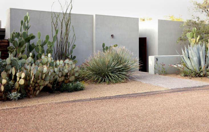 Desert garden concept