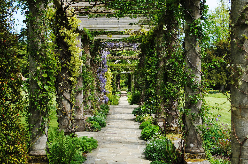 Rows of pergola at the West Dean Gardens - Sussex