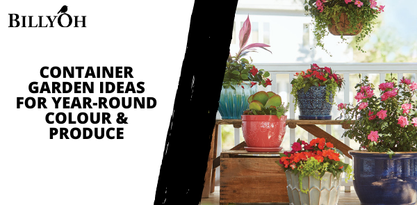 Container Garden Ideas for Year-Round Colour & Produce