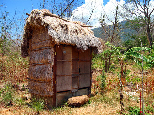 Thatched compost hut