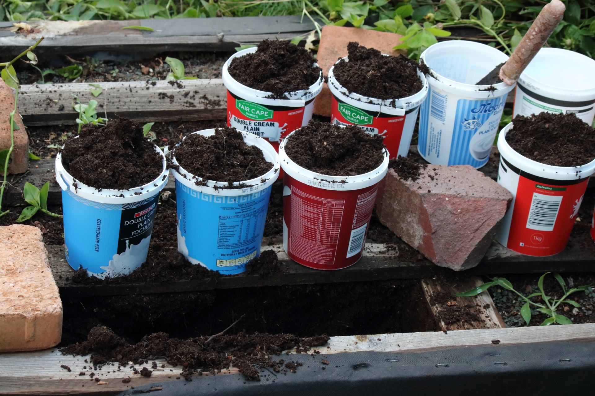 Compost in plastic storage containers