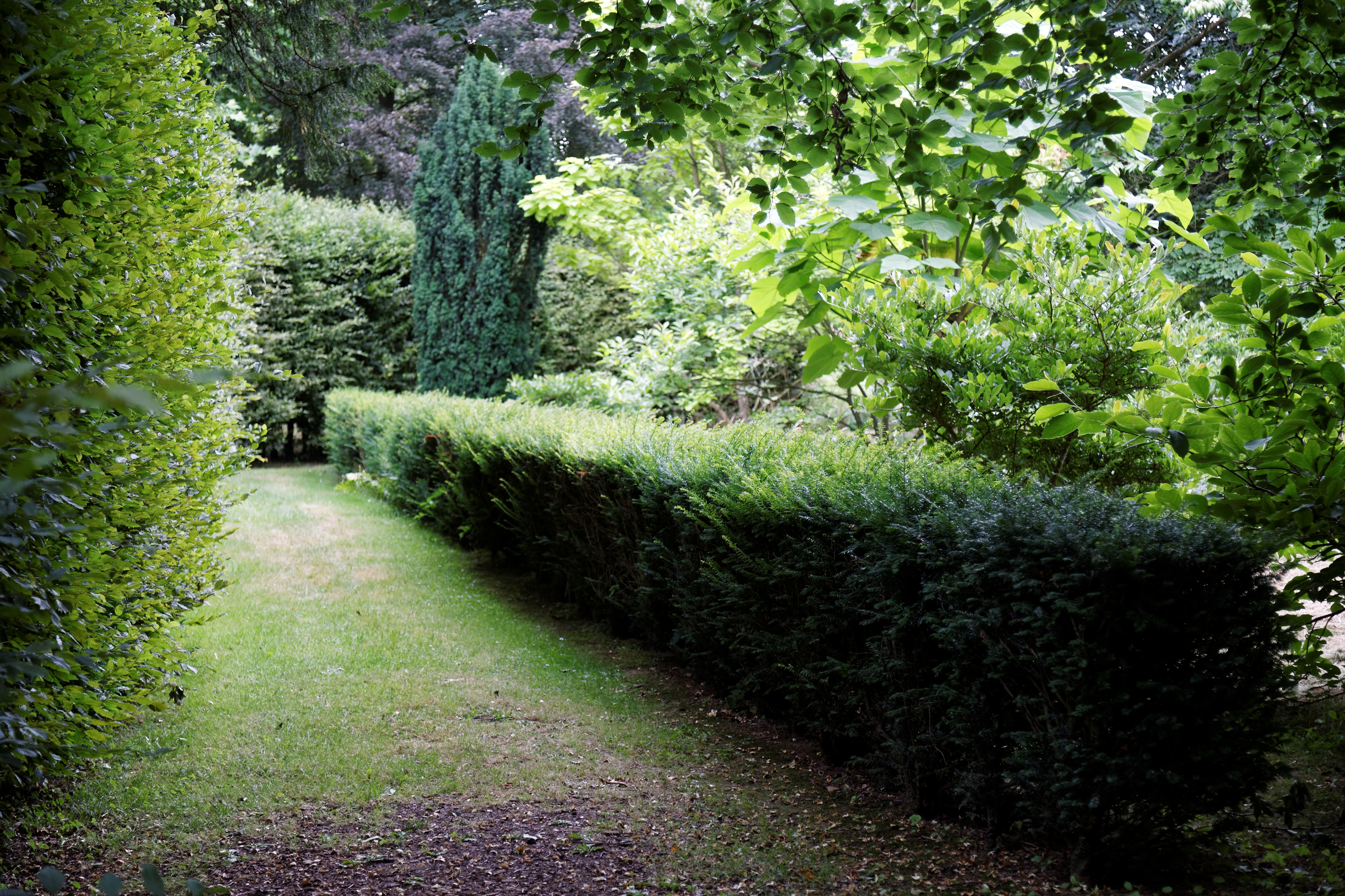 Garden path and hedges at Goodnestone Park Kent England