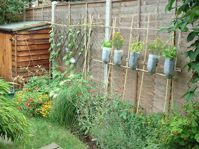 Vertical gardening with trellis and plastic containers