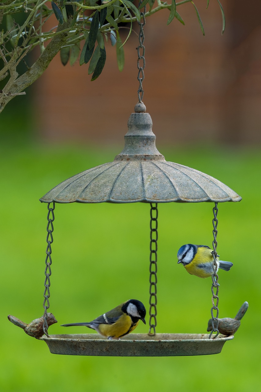 Classic bird feeder