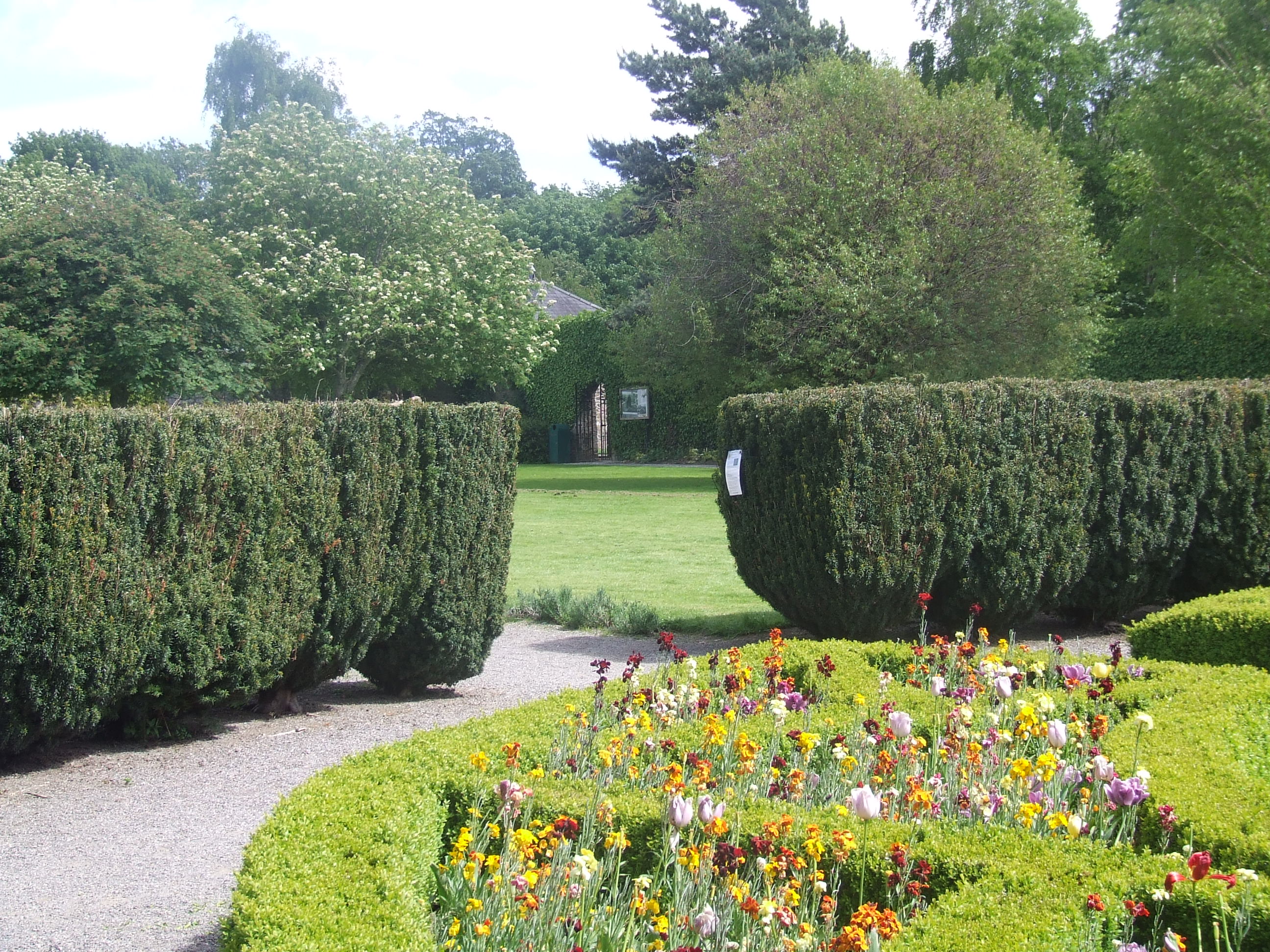 Yew hedge, formal garden of Pearse Museum