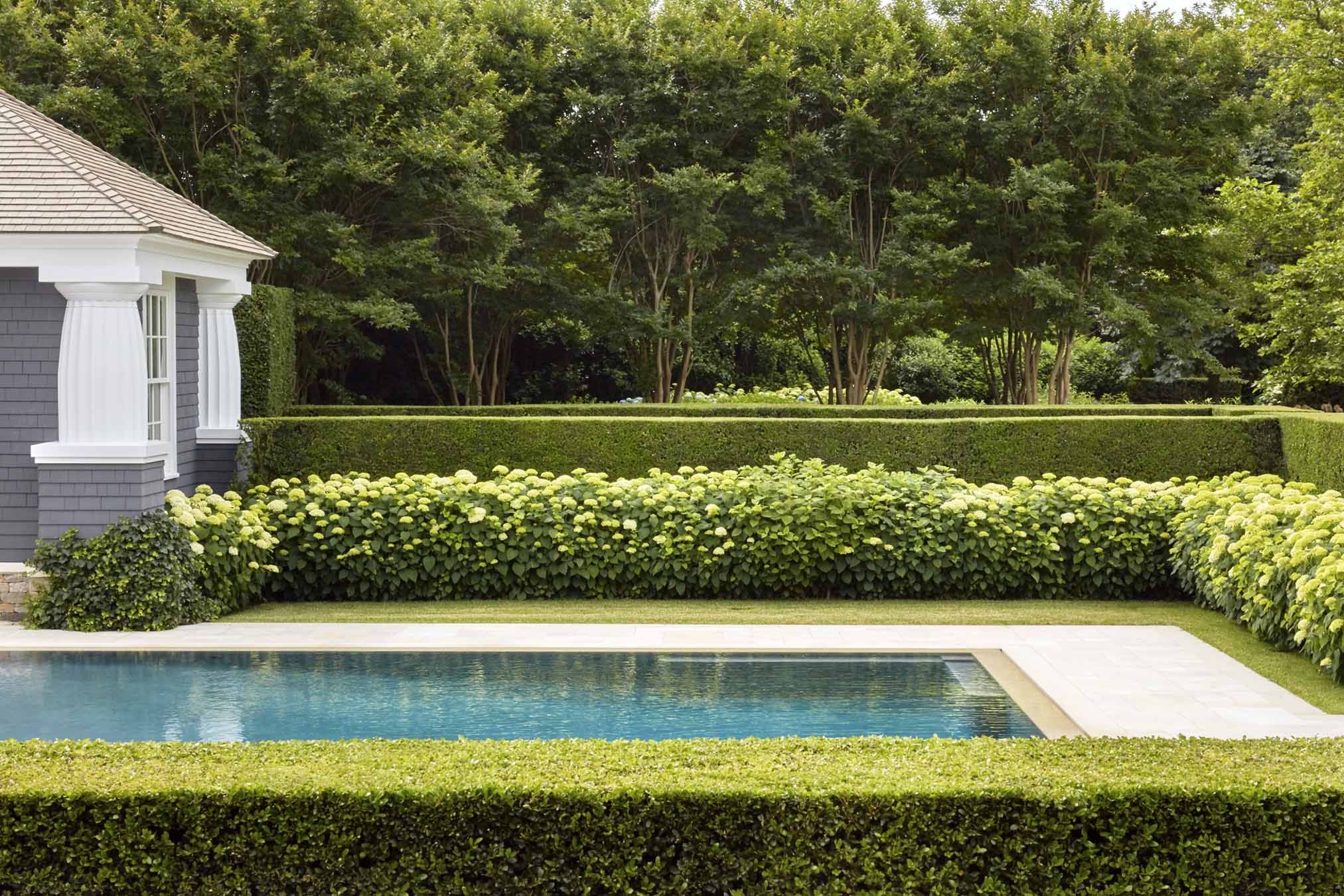 French garden design with boxwood hedges for clean lines