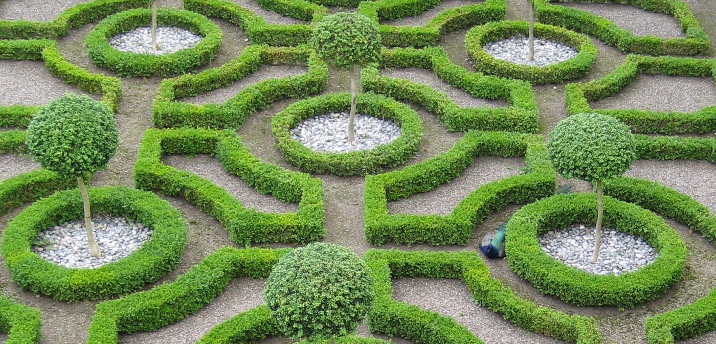 French garden design with geometric patterns