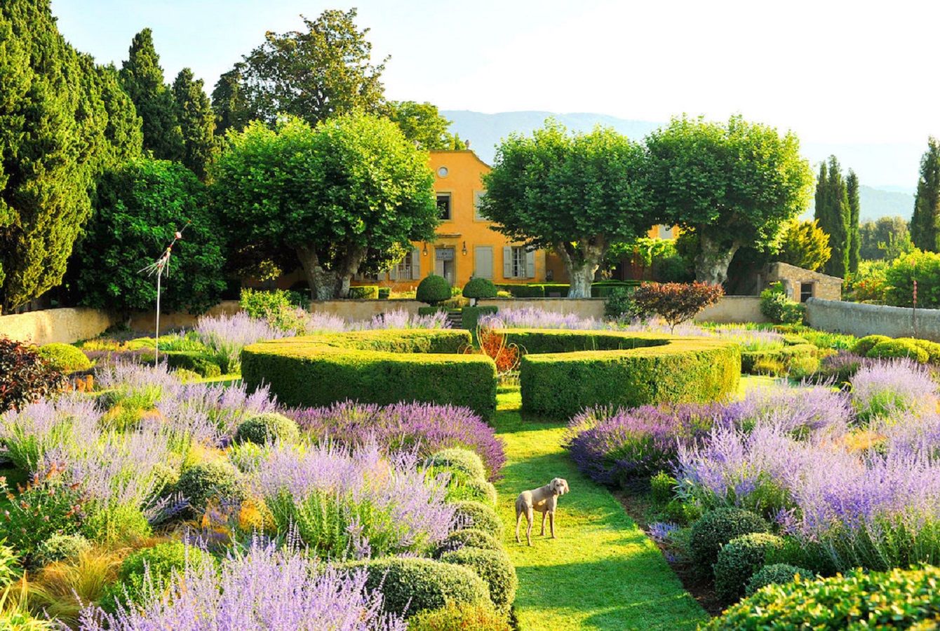 French garden design with natural borders