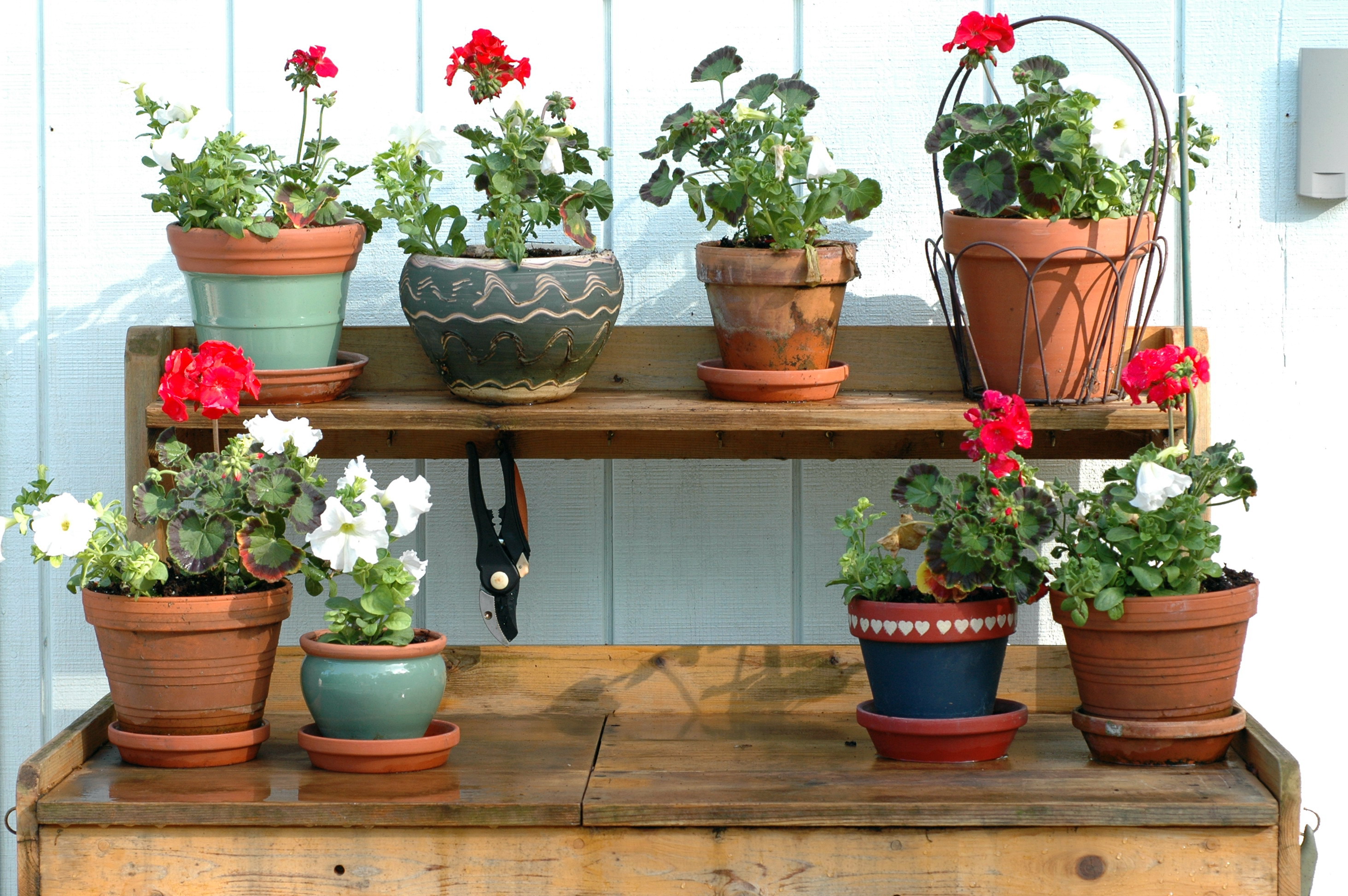 Potting bench table with potted plants display