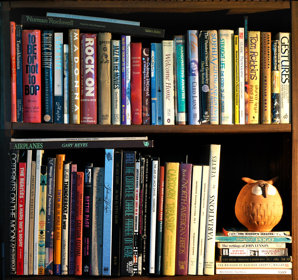 Book shelf filled with various books