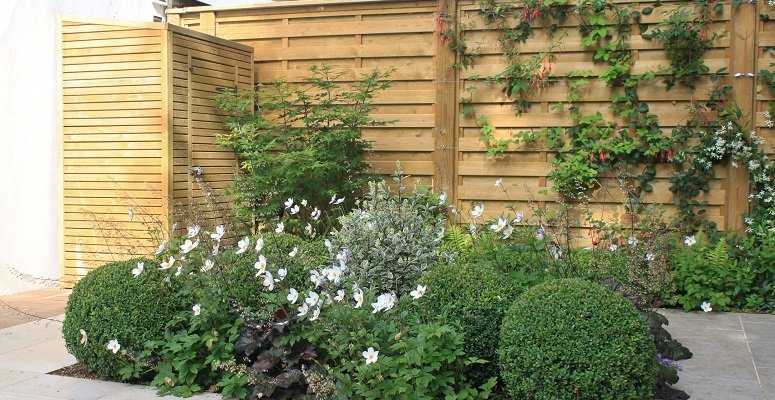 Summer garden idea with a fence covered with climbing plants