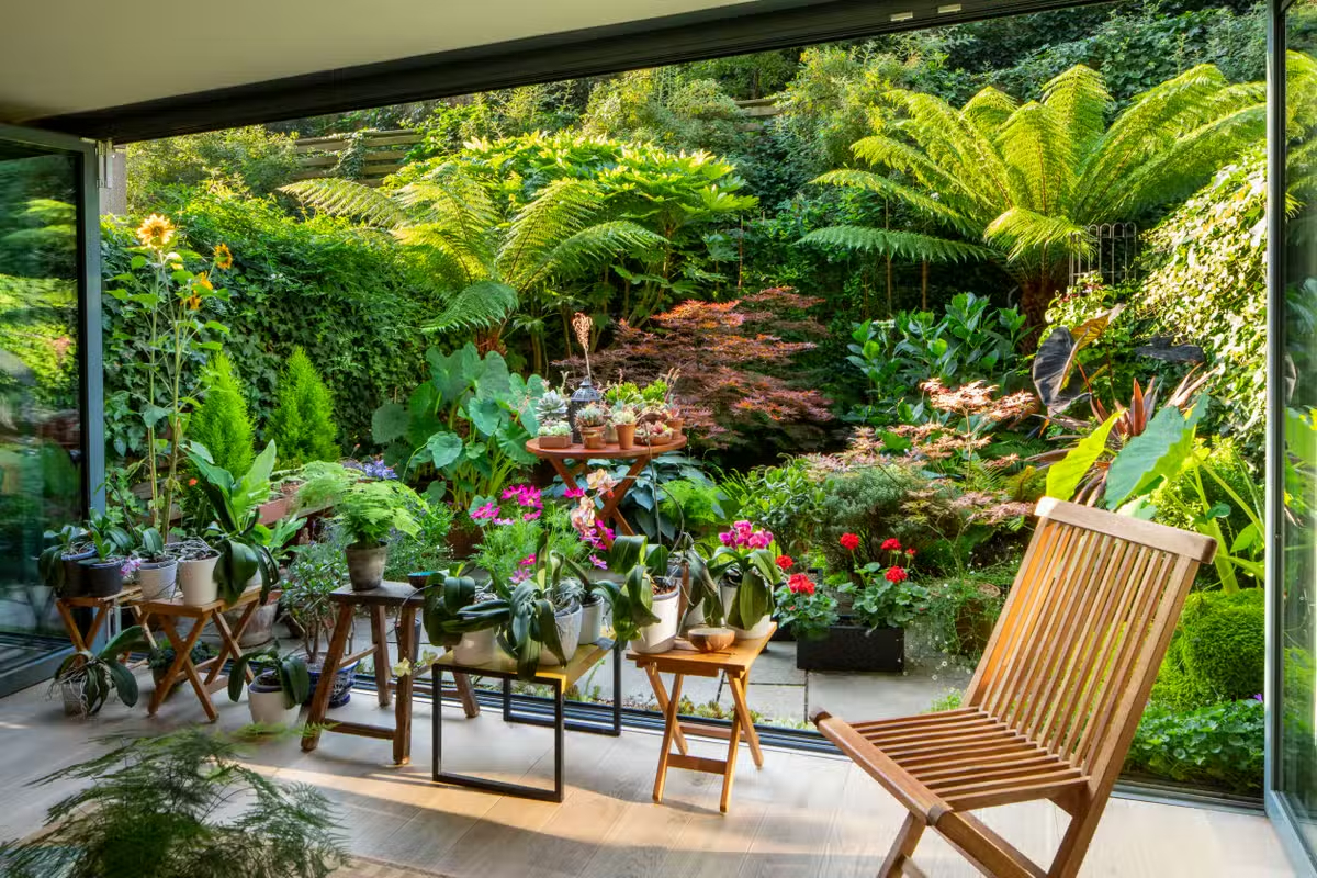 Summer garden idea with a tropical theme