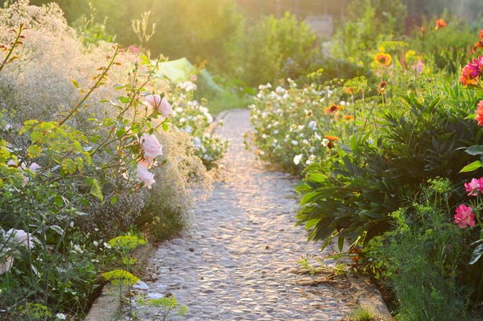 Summer garden idea with a charming pathway