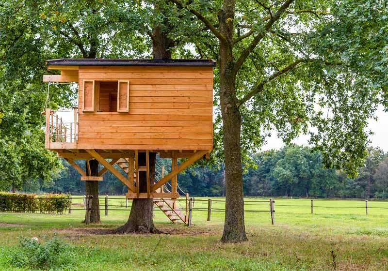 Summer garden idea with a treehouse