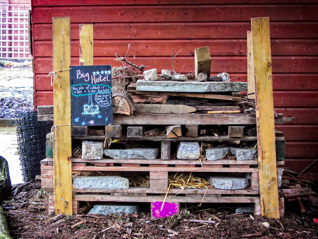 Bug hotel made from various material including cinder blocks