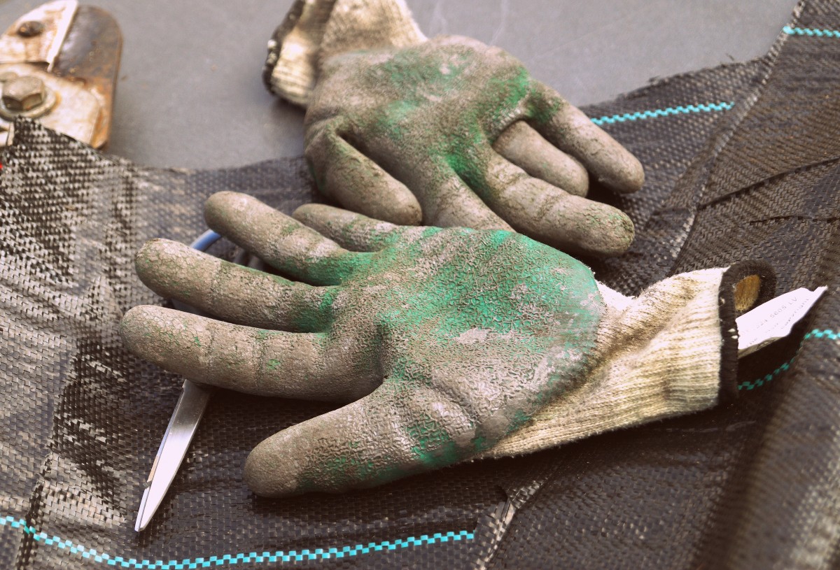Staining gloves