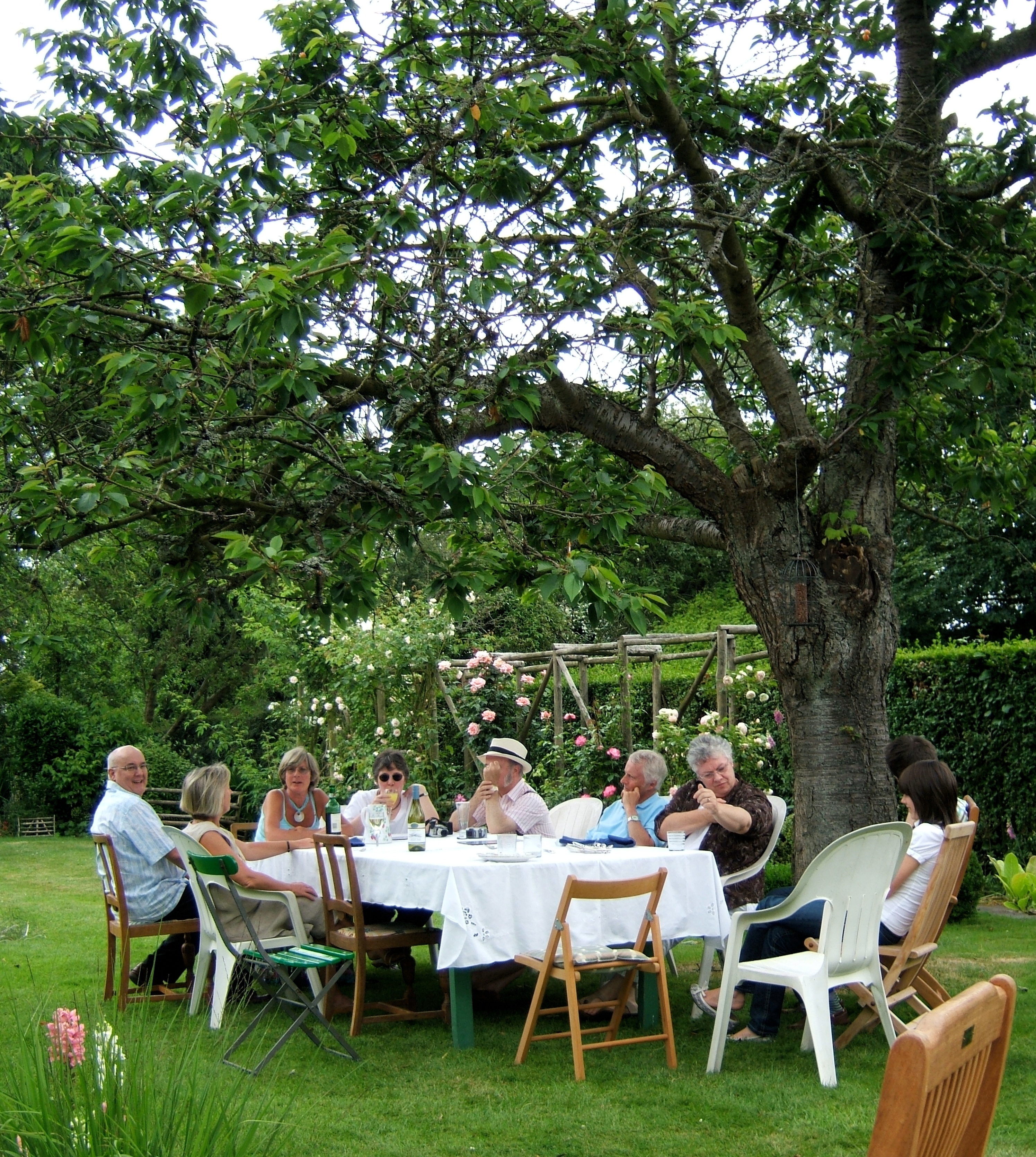 A family on a garden alfresco dining under the tree