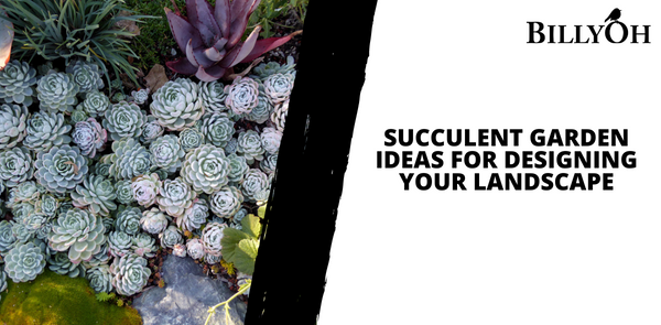 Succulent Garden Ideas For Designing Your Landscape