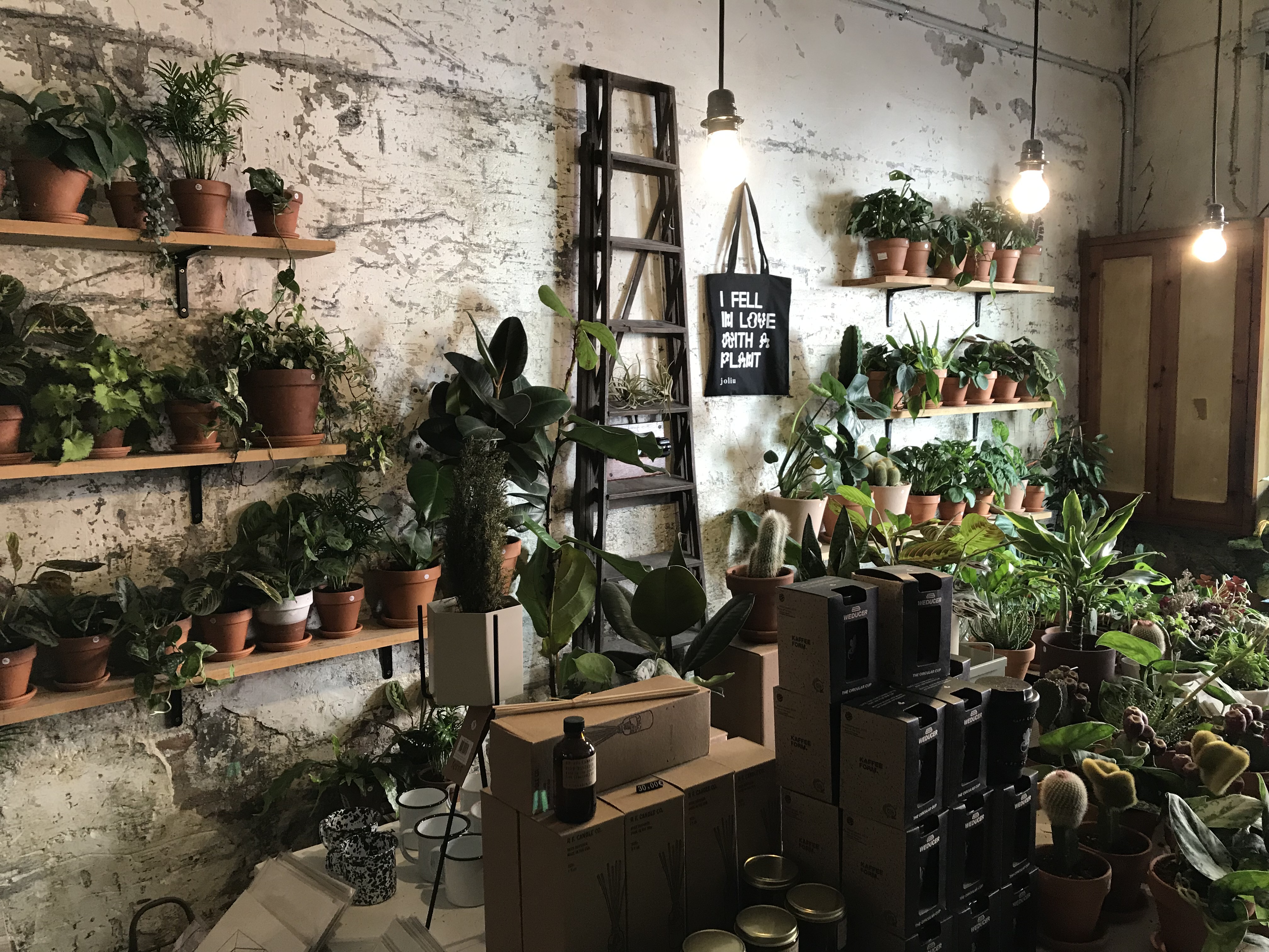 A plant store filled with a variety of greenery displayed on hanging shelves.