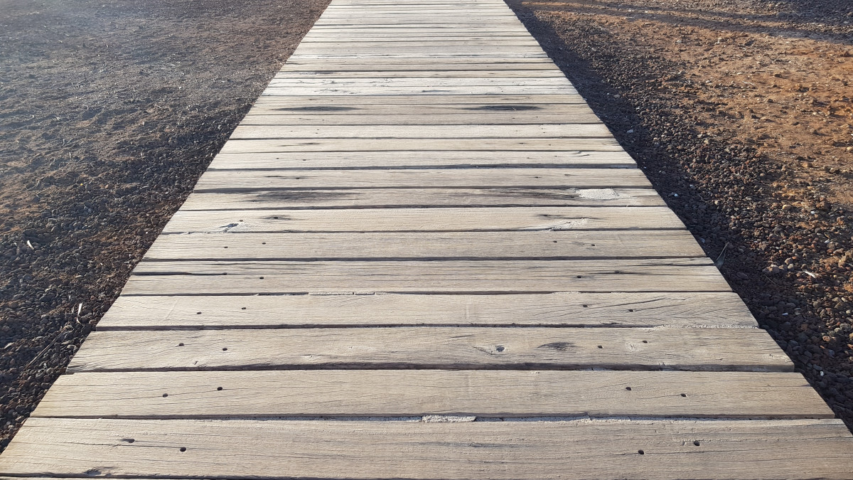 Elevated wooden pathway