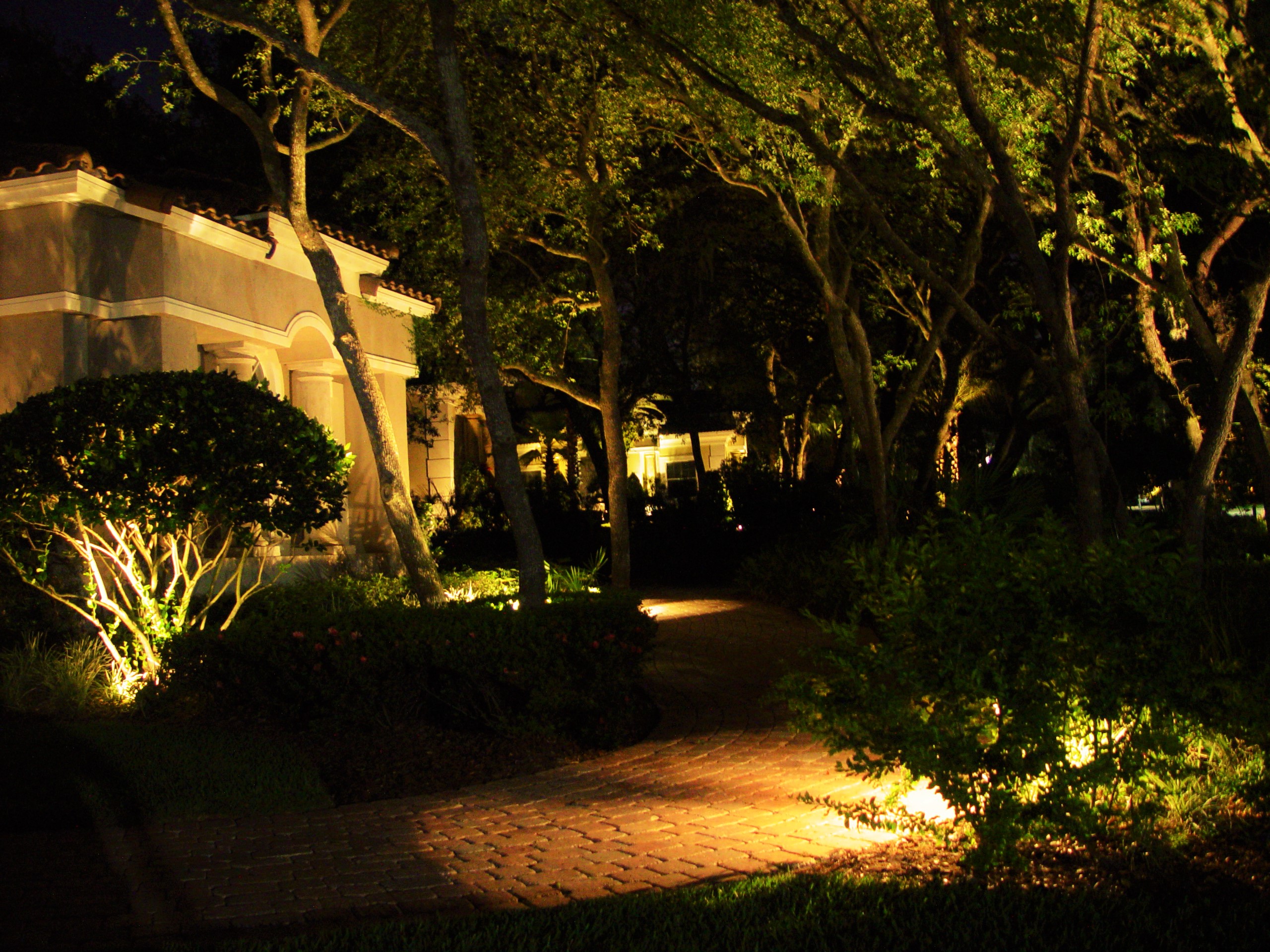 Modern garden path with LED lights
