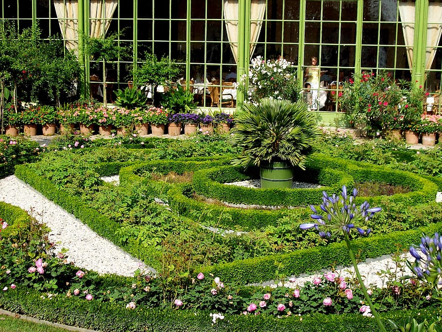 Baroque garden landscape with flowers and herbs