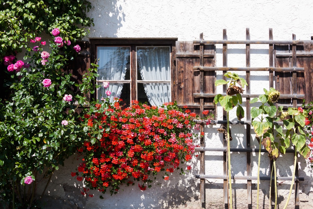 Cottage garden window shutter planter