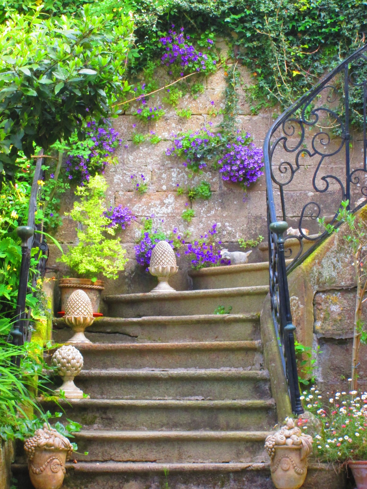 Steps with pots