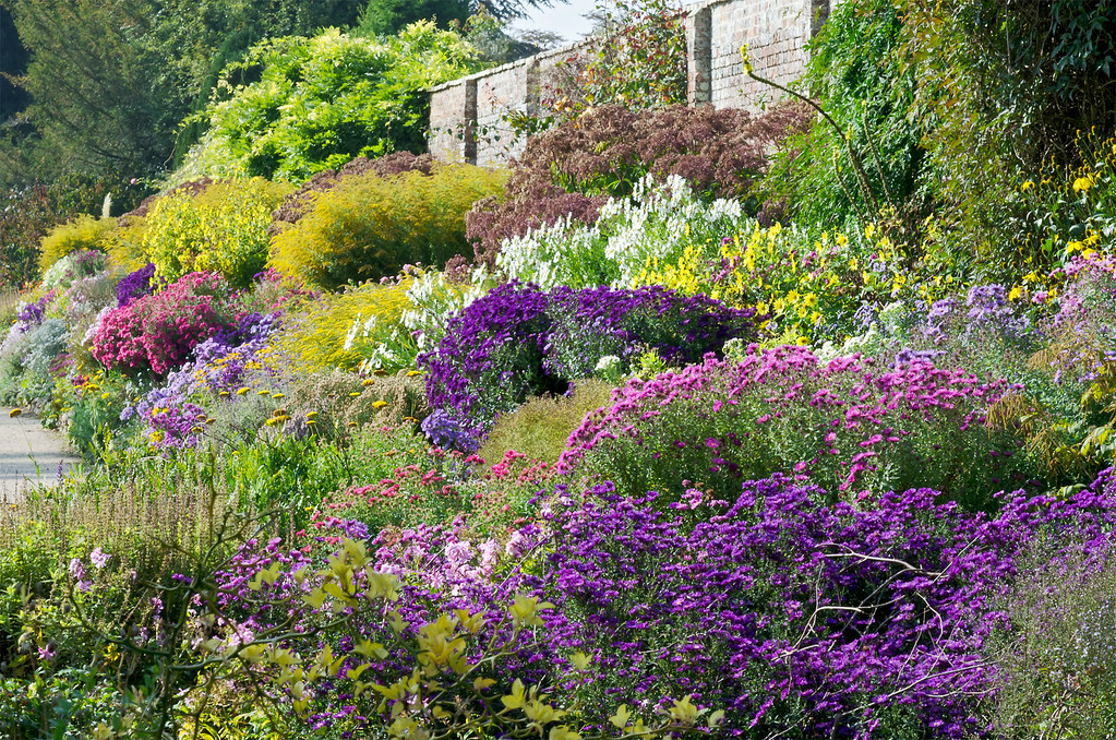 Side garden borders in contrasting colours.