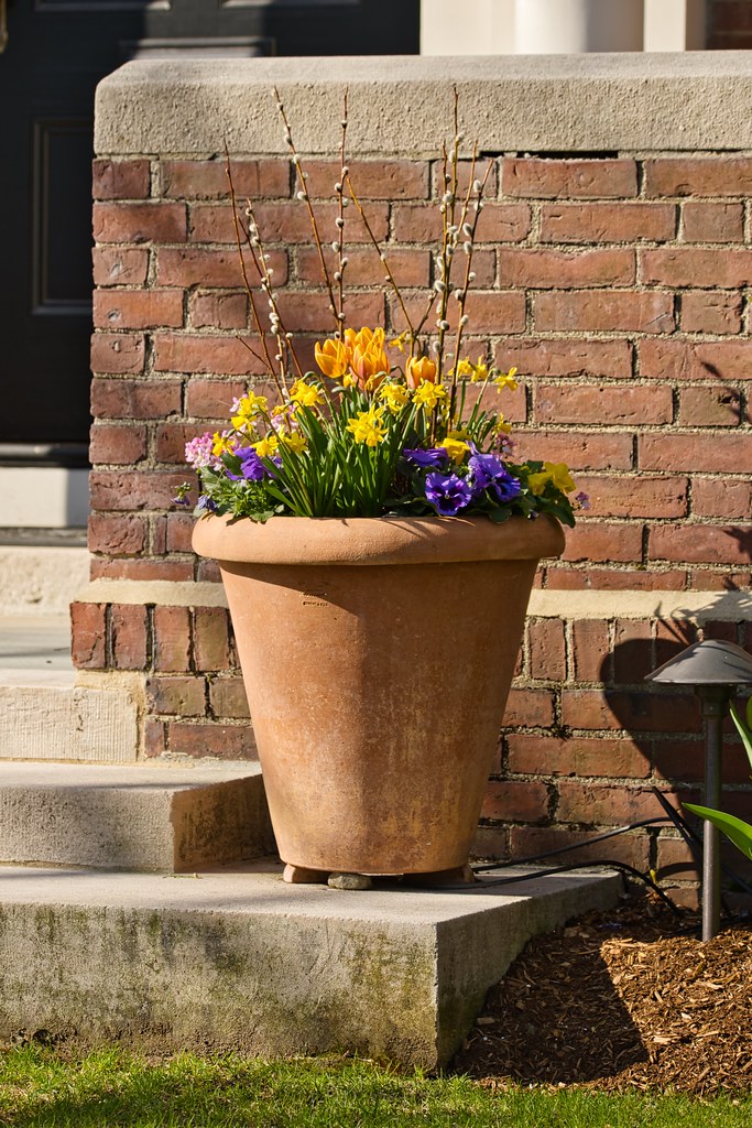 A large terracotta pot display with spring - fall foliage.