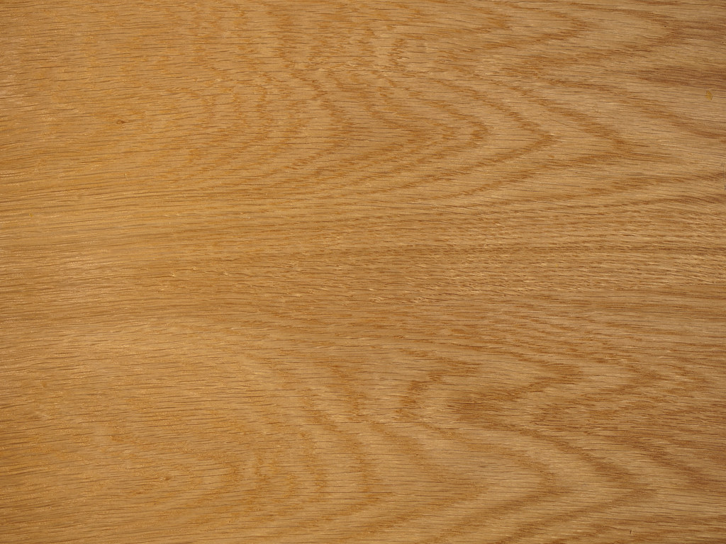 Oak tree plywood
